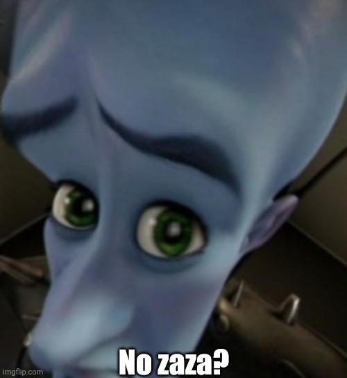 Megamind no bitches | No zaza? | image tagged in megamind no bitches | made w/ Imgflip meme maker