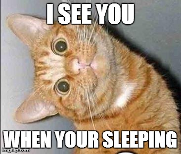 I SEE YOU WHEN YOUR SLEEPING | image tagged in i see you | made w/ Imgflip meme maker