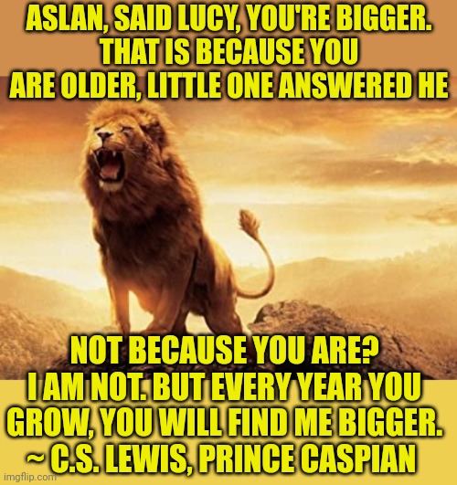 ASLAN, SAID LUCY, YOU'RE BIGGER.
THAT IS BECAUSE YOU ARE OLDER, LITTLE ONE ANSWERED HE; NOT BECAUSE YOU ARE?
I AM NOT. BUT EVERY YEAR YOU GROW, YOU WILL FIND ME BIGGER.
~ C.S. LEWIS, PRINCE CASPIAN | image tagged in aslan,yellow background | made w/ Imgflip meme maker