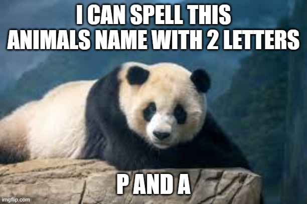 memes by Brad spell Panda with only 2 letters | I CAN SPELL THIS ANIMALS NAME WITH 2 LETTERS; P AND A | image tagged in fun,funny,panda,spelling error,funny meme,humor | made w/ Imgflip meme maker