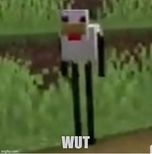 Cursed Minecraft chicken | WUT | image tagged in cursed minecraft chicken | made w/ Imgflip meme maker