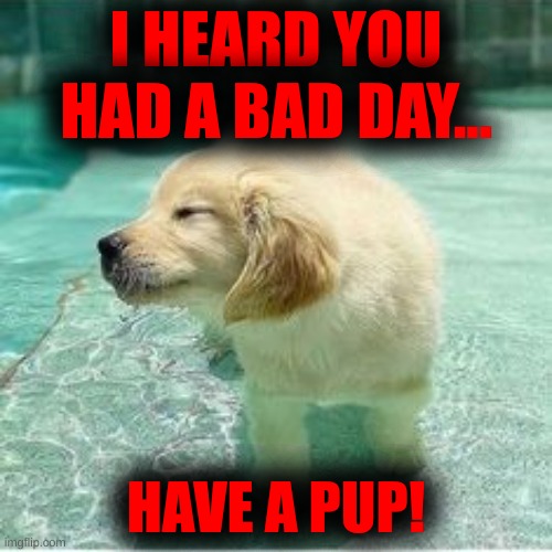 I HEARD YOU HAD A BAD DAY... HAVE A PUP! | made w/ Imgflip meme maker