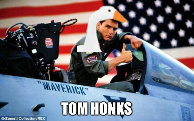 Top Goose | TOM HONKS | image tagged in top gun,goose | made w/ Imgflip meme maker
