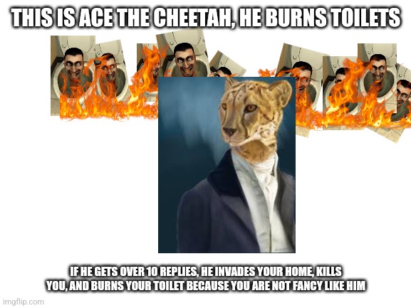 Blank White Template | THIS IS ACE THE CHEETAH, HE BURNS TOILETS IF HE GETS OVER 10 REPLIES, HE INVADES YOUR HOME, KILLS YOU, AND BURNS YOUR TOILET BECAUSE YOU ARE | image tagged in blank white template | made w/ Imgflip meme maker