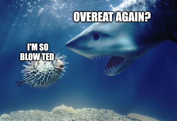 Shark And Pufferfish | OVEREAT AGAIN? I'M SO BLOW TED | image tagged in shark and pufferfish | made w/ Imgflip meme maker