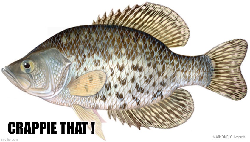 CRAPPIE THAT ! | CRAPPIE THAT ! | image tagged in funny memes | made w/ Imgflip meme maker