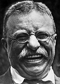 Teddy Roosevelt Blank Meme Template