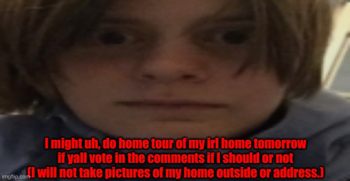 DarthSwede silly serious face | I might uh, do home tour of my irl home tomorrow if yall vote in the comments if I should or not (I will not take pictures of my home outside or address.) | image tagged in darthswede silly serious face | made w/ Imgflip meme maker