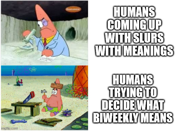 biweekly | HUMANS COMING UP WITH SLURS WITH MEANINGS; HUMANS TRYING TO DECIDE WHAT BIWEEKLY MEANS | image tagged in patrick smart dumb | made w/ Imgflip meme maker