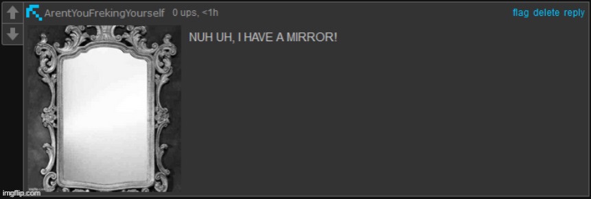 a mirror | image tagged in a mirror | made w/ Imgflip meme maker