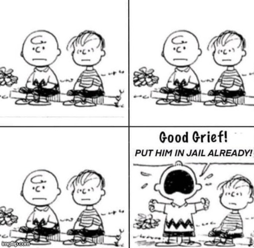 Frustrated Charlie Brown and Linus Donald Trump | image tagged in frustrated charlie brown and linus,i hate donald trump,trump sucks | made w/ Imgflip meme maker