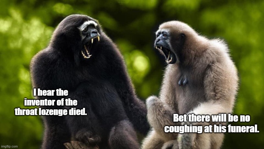 Monkey discussion | I hear the inventor of the throat lozenge died. Bet there will be no coughing at his funeral. | image tagged in fun | made w/ Imgflip meme maker