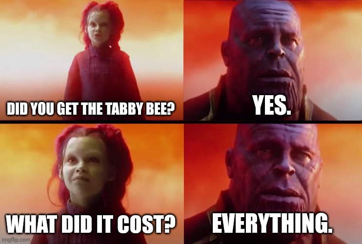 thanos what did it cost | DID YOU GET THE TABBY BEE? YES. WHAT DID IT COST? EVERYTHING. | image tagged in thanos what did it cost | made w/ Imgflip meme maker