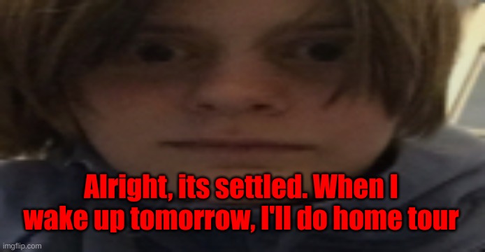 DarthSwede silly serious face | Alright, its settled. When I wake up tomorrow, I'll do home tour | image tagged in darthswede silly serious face | made w/ Imgflip meme maker