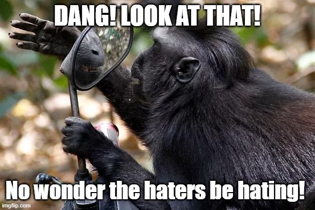 Monkey and mirror | DANG! LOOK AT THAT! No wonder the haters be hating! | image tagged in haters gonna hate | made w/ Imgflip meme maker