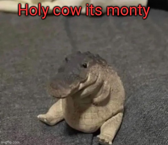 temp | Holy cow its monty | image tagged in temp | made w/ Imgflip meme maker