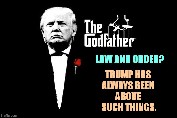 If not above, below. Or perhaps to one side. | LAW AND ORDER? TRUMP HAS 
ALWAYS BEEN 
ABOVE 
SUCH THINGS. | image tagged in trump mafia crime boss godfather,trump,law and order,ignore,criminal,crime | made w/ Imgflip meme maker