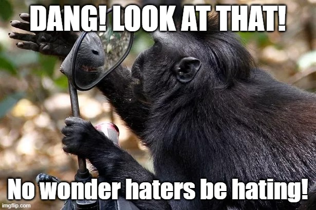 Munkee | DANG! LOOK AT THAT! No wonder haters be hating! | image tagged in haters gonna hate | made w/ Imgflip meme maker