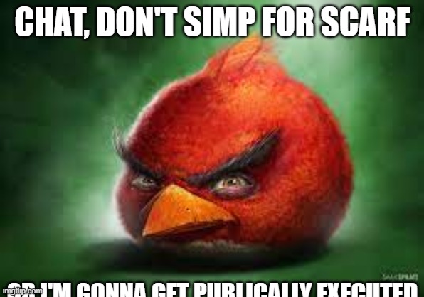 Realistic Red Angry Birds | CHAT, DON'T SIMP FOR SCARF; OR I'M GONNA GET PUBLICALLY EXECUTED | image tagged in realistic red angry birds | made w/ Imgflip meme maker