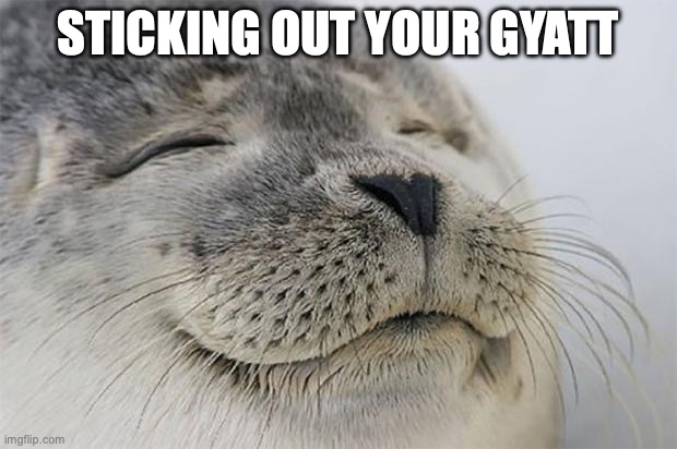 Satisfied Seal | STICKING OUT YOUR GYATT | image tagged in memes,satisfied seal | made w/ Imgflip meme maker