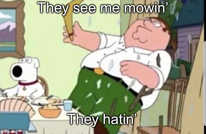 Mood | They see me mowin’; They hatin’ | image tagged in mood | made w/ Imgflip meme maker