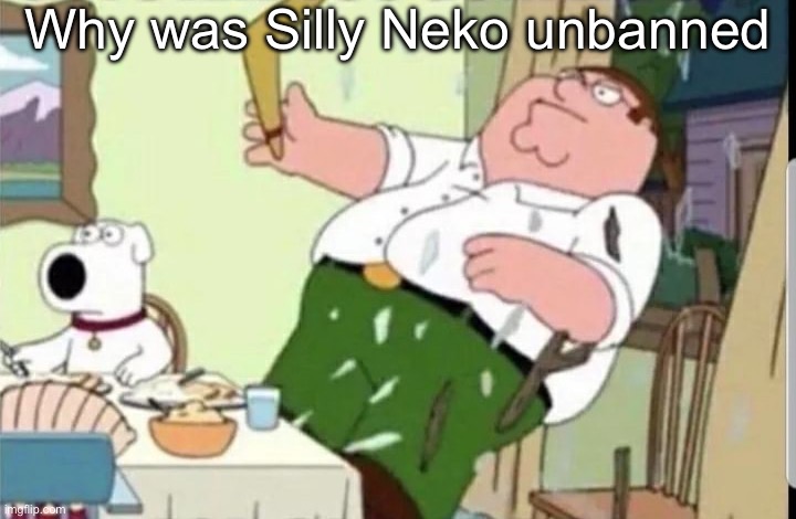 Mood | Why was Silly Neko unbanned | image tagged in mood | made w/ Imgflip meme maker