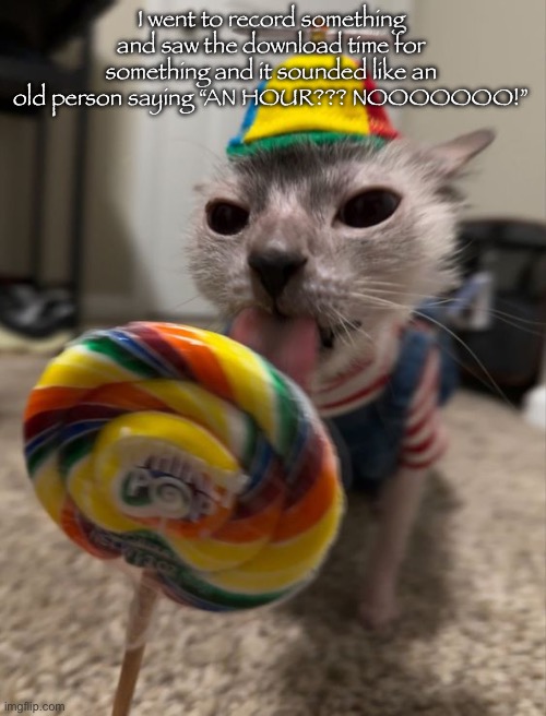 silly goober | I went to record something and saw the download time for something and it sounded like an old person saying “AN HOUR??? NOOOOOOO!” | image tagged in silly goober | made w/ Imgflip meme maker