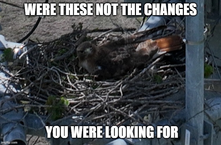 Unexpected changes | WERE THESE NOT THE CHANGES; YOU WERE LOOKING FOR | image tagged in offended bird | made w/ Imgflip meme maker