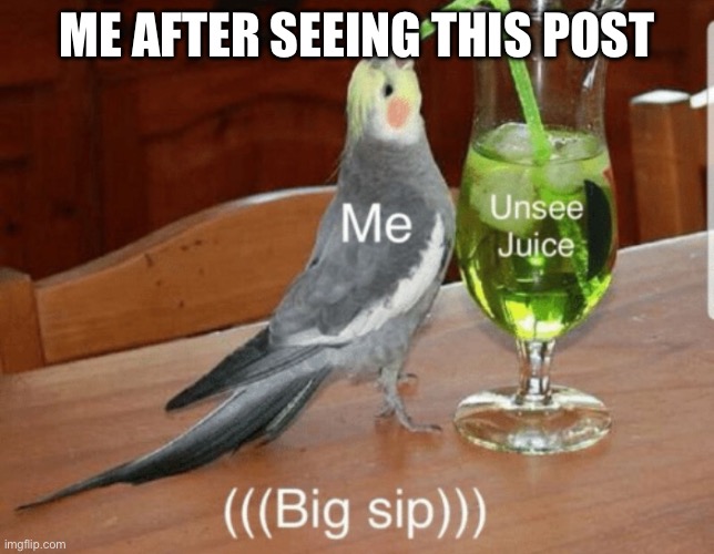 Unsee juice | ME AFTER SEEING THIS POST | image tagged in unsee juice | made w/ Imgflip meme maker