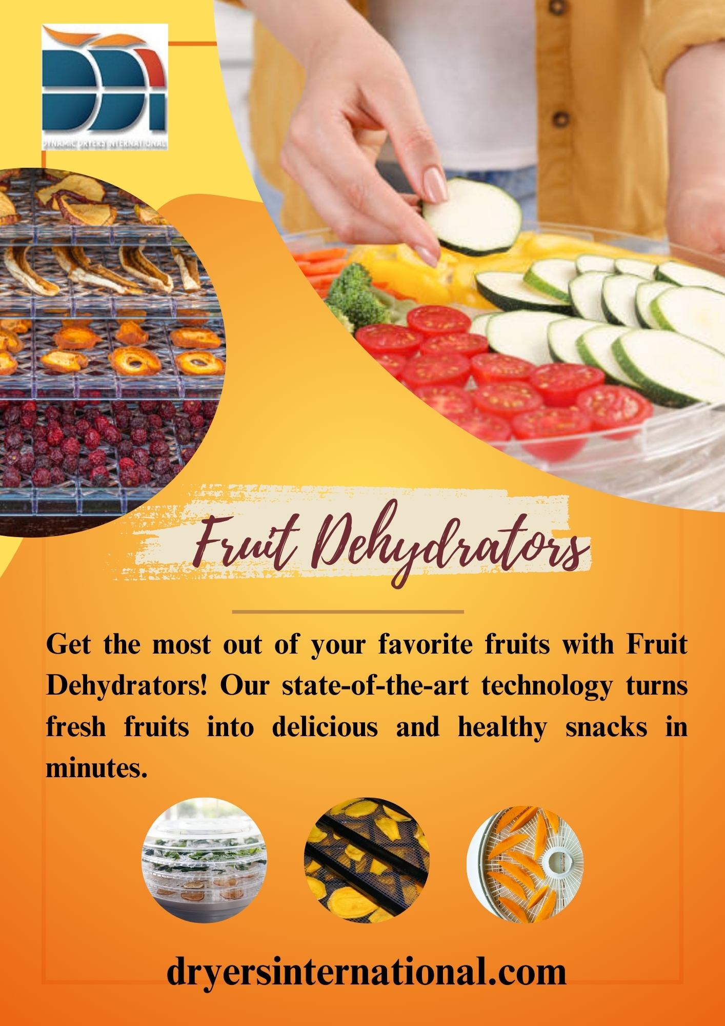 Fruit Dehydrators Blank Meme Template