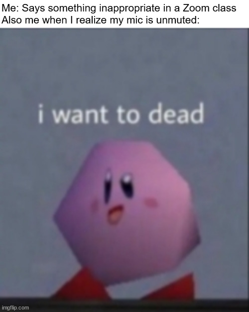 i want to dead | Me: Says something inappropriate in a Zoom class
Also me when I realize my mic is unmuted: | image tagged in i want to dead/i want to die,zoom,zoom class,unmute,mute,kirby | made w/ Imgflip meme maker