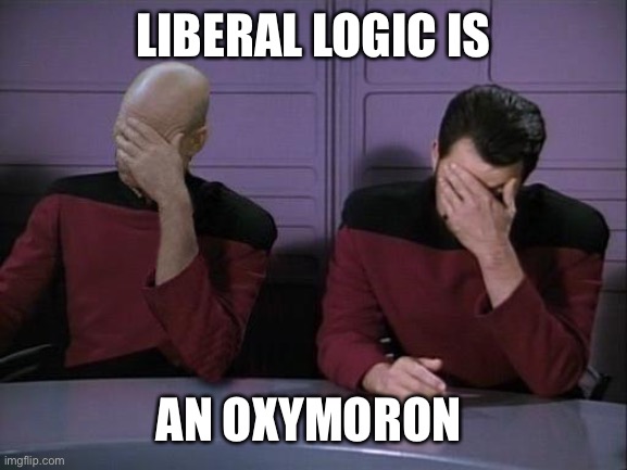 Double Facepalm | LIBERAL LOGIC IS AN OXYMORON | image tagged in double facepalm | made w/ Imgflip meme maker