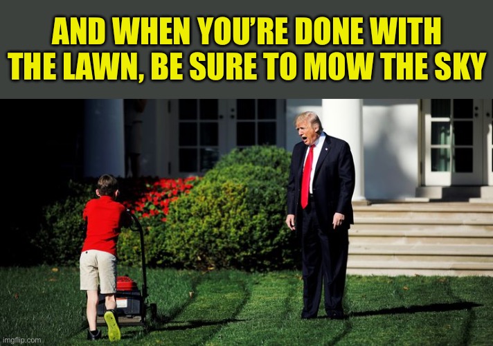 AND WHEN YOU’RE DONE WITH THE LAWN, BE SURE TO MOW THE SKY | image tagged in trump-kid-mowing | made w/ Imgflip meme maker