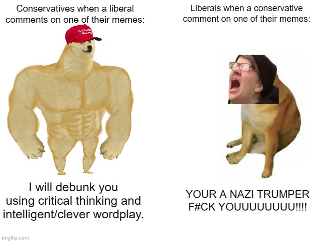 Liberal comment section | Conservatives when a liberal comments on one of their memes:; Liberals when a conservative comment on one of their memes:; I will debunk you using critical thinking and intelligent/clever wordplay. YOUR A NAZI TRUMPER F#CK YOUUUUUUUU!!!! | image tagged in memes,buff doge vs cheems,dank memes,liberals,conservatives,liberals vs conservatives | made w/ Imgflip meme maker