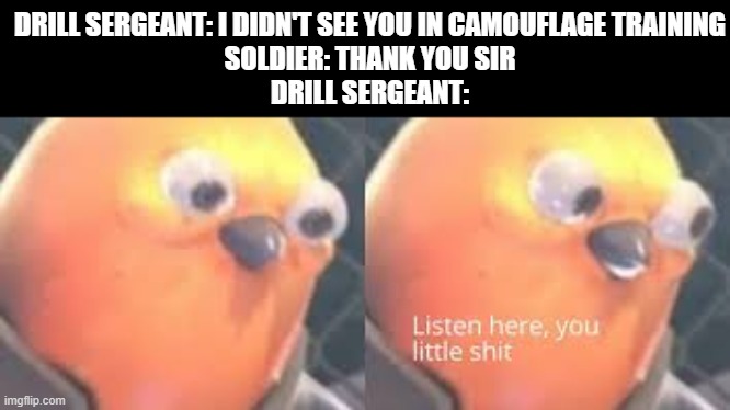 Camouflage Training | DRILL SERGEANT: I DIDN'T SEE YOU IN CAMOUFLAGE TRAINING
SOLDIER: THANK YOU SIR
DRILL SERGEANT: | image tagged in listen here you little shit,memes,funny,camouflage | made w/ Imgflip meme maker