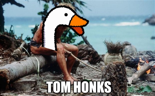 Tom Honks ver 2 | TOM HONKS | image tagged in wilson - tom hanks,goose | made w/ Imgflip meme maker