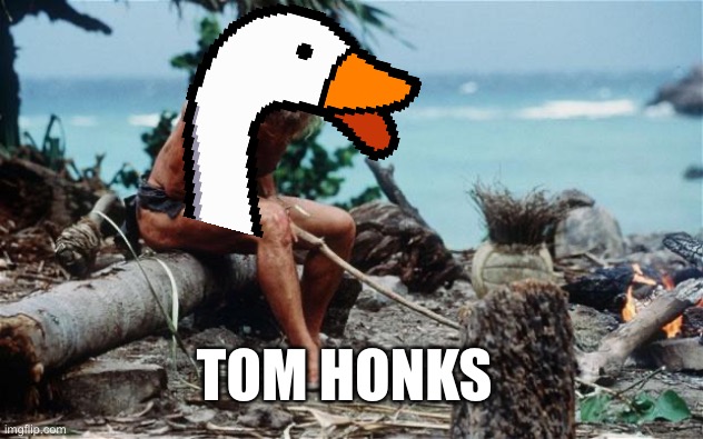 Tom Honks with Wilson | TOM HONKS | image tagged in wilson - tom hanks,wilson,goose | made w/ Imgflip meme maker
