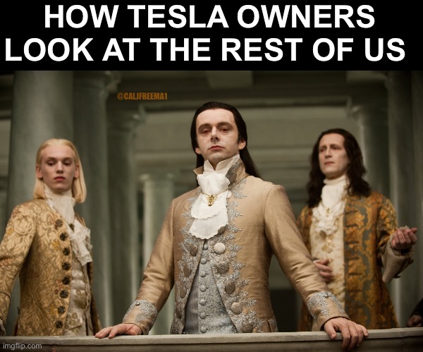 Twilight Aro | HOW TESLA OWNERS LOOK AT THE REST OF US; @CALJFREEMA1 | image tagged in twilight aro,tesla,elon musk,rich people,cars | made w/ Imgflip meme maker