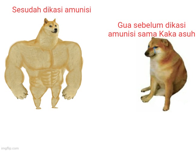 Buff Doge vs. Cheems | Sesudah dikasi amunisi; Gua sebelum dikasi amunisi sama Kaka asuh | image tagged in memes,buff doge vs cheems | made w/ Imgflip meme maker