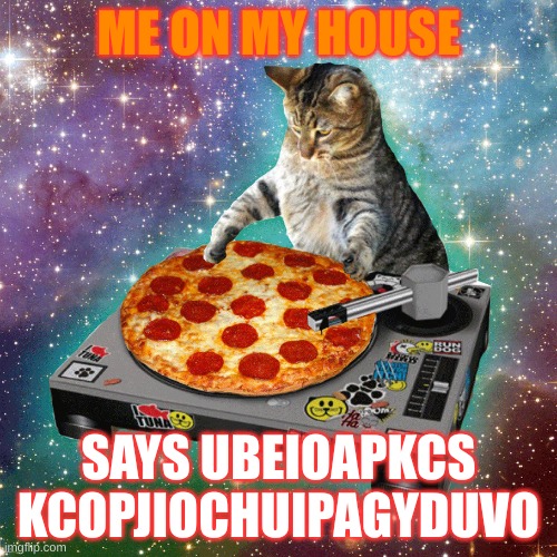 cat | ME ON MY HOUSE; SAYS UBEIOAPKCS KCOPJIOCHUIPAGYDUVO | image tagged in cat | made w/ Imgflip meme maker