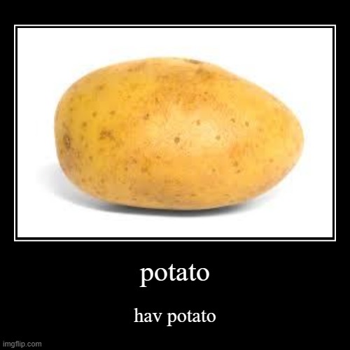 potat | potato | hav potato | image tagged in funny,demotivationals | made w/ Imgflip demotivational maker
