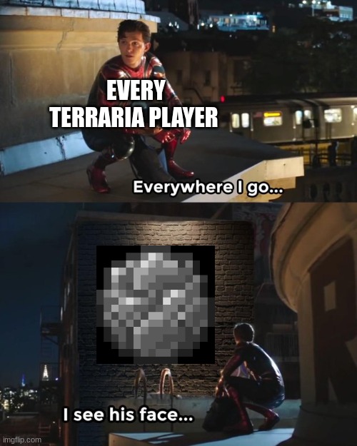 Just wait until Boulder Rain hits our way in 1.4.5. | EVERY
TERRARIA PLAYER | image tagged in everywhere i go i see his face,terraria,memes,gaming | made w/ Imgflip meme maker