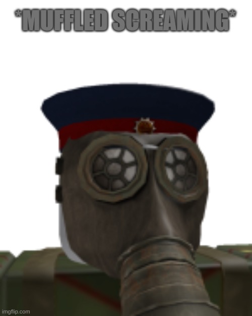 gas mask | *MUFFLED SCREAMING* | image tagged in gas mask | made w/ Imgflip meme maker