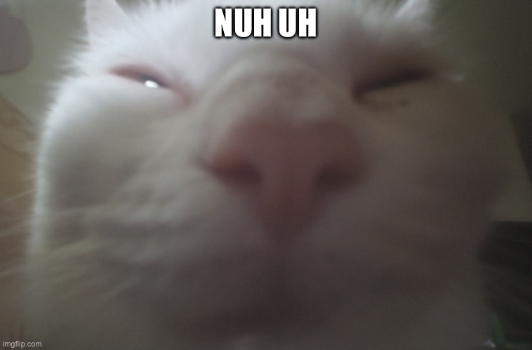 Guh? Nuh uh? | NUH UH | image tagged in guh nuh uh | made w/ Imgflip meme maker