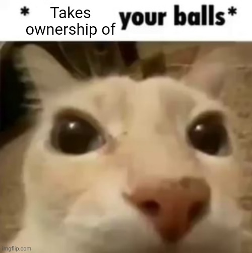 X your balls | Takes ownership of | image tagged in x your balls | made w/ Imgflip meme maker