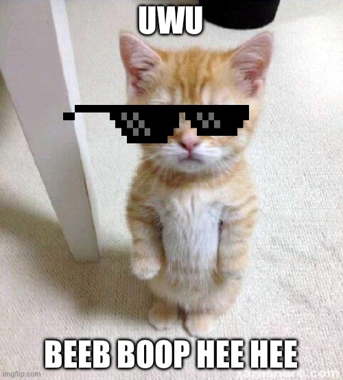 Cute Cat | UWU; BEEB BOOP HEE HEE | image tagged in memes,cute cat | made w/ Imgflip meme maker