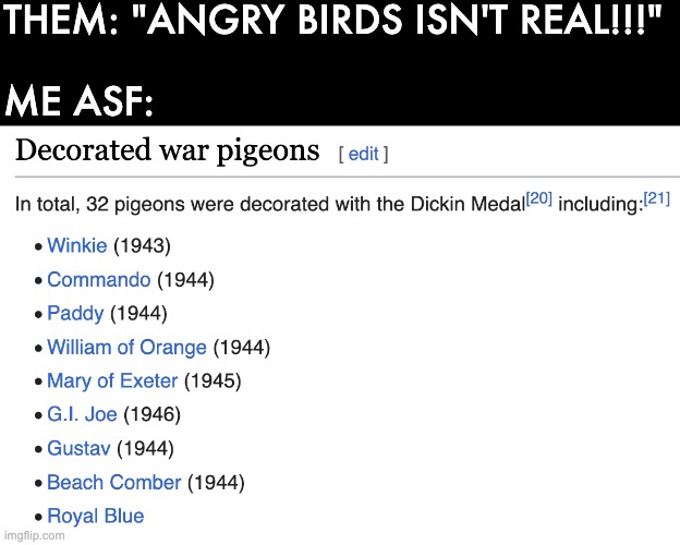 THEM: "ANGRY BIRDS ISN'T REAL!!!"
 
ME ASF: | image tagged in angry birds,war pigeon,bird,pigeon,funny,wikipedia | made w/ Imgflip meme maker