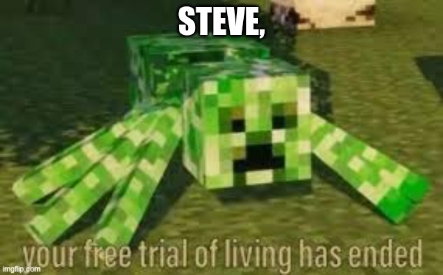buy the live a life package to continue living | STEVE, | image tagged in creeper,spider,meme,minecraft memes,minecraft | made w/ Imgflip meme maker
