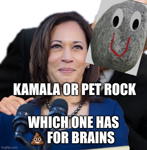 Kamala’s butthead | KAMALA OR PET ROCK; WHICH ONE HAS 💩 FOR BRAINS | image tagged in kamala harris | made w/ Imgflip meme maker