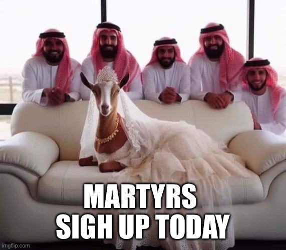 72 virgins | MARTYRS 
SIGH UP TODAY | image tagged in ab ro ga tion,memes,funny memes,funny,gifs | made w/ Imgflip meme maker